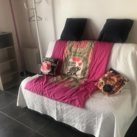 Nid Douillet Plein Centre Apartment *